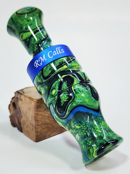 PEACOCK ALPHA with BLUE BAND